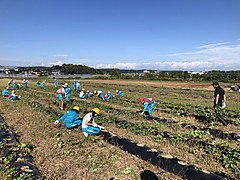 Img_8544