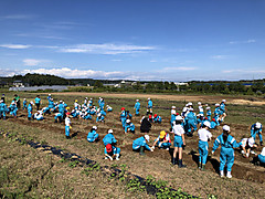 Img_8546